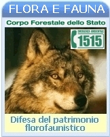 Trasmettitori video potenziati