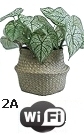 Microcamera WiFi Internet in finta pianta