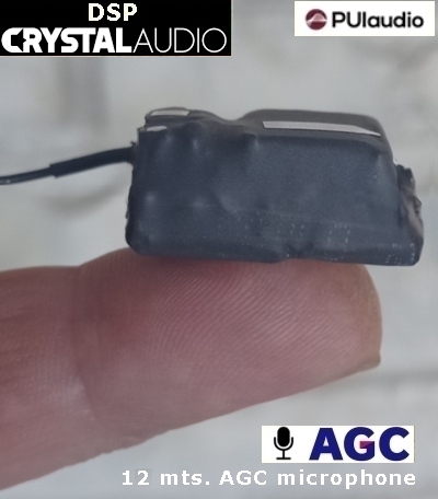 Microspia GSM professionale